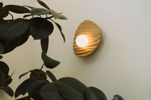 Towan Wall Light in Solid Oak/Walnut