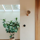 Speckled Cream Matt Element Wall Light in Ceramic and Oak