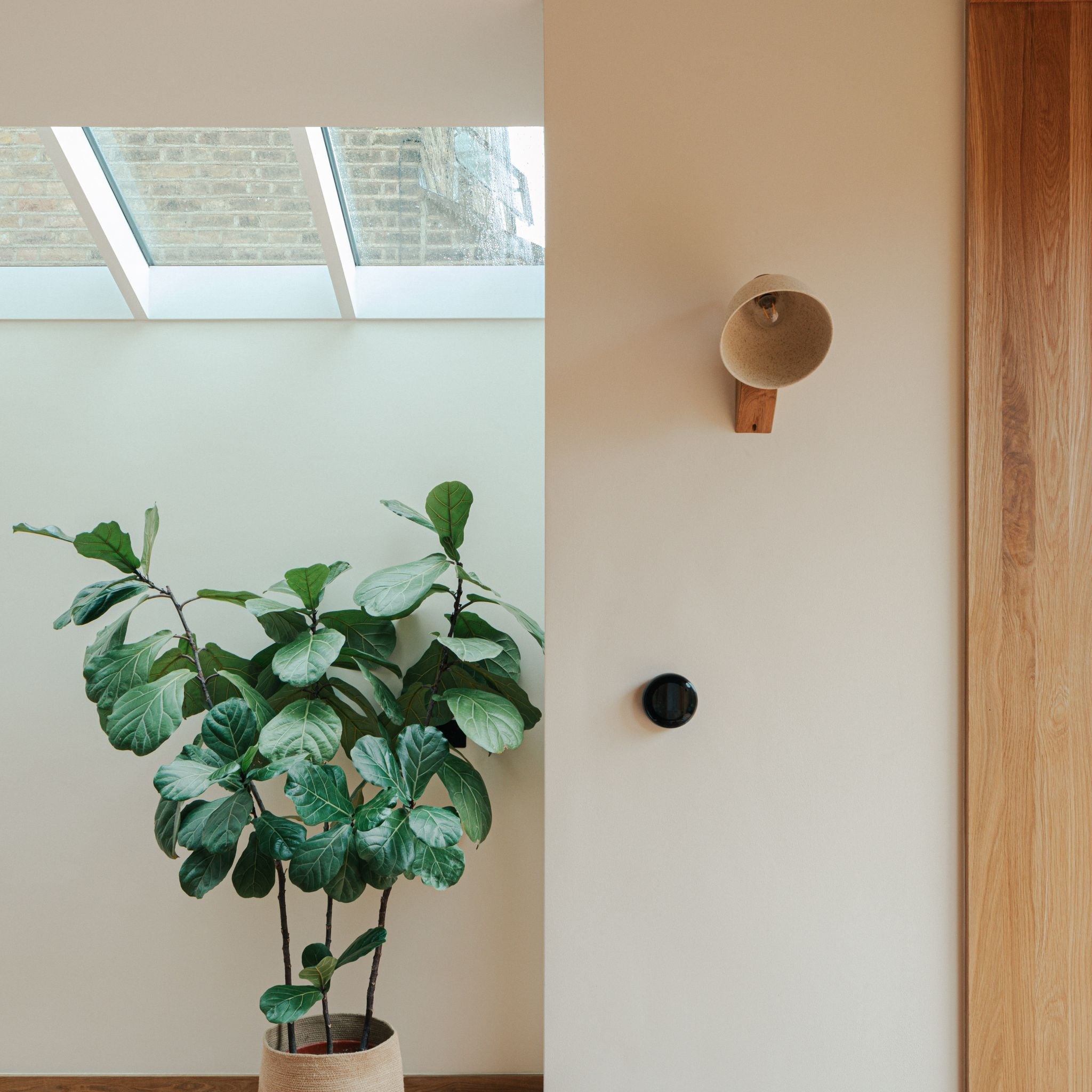 Speckled Cream Matt Element Wall Light in Ceramic and Oak