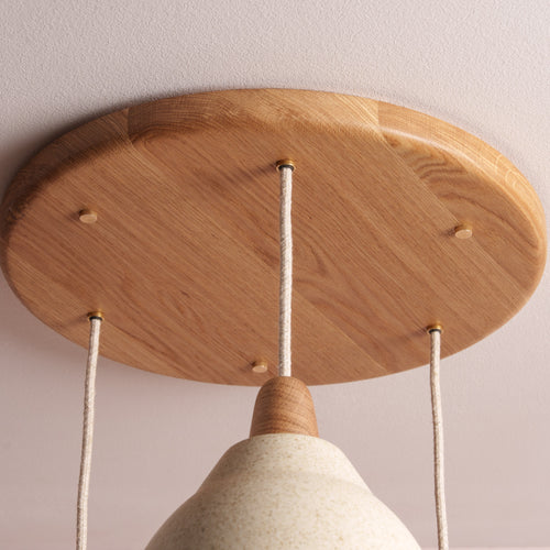 Element Pendant Cluster with Solid Oak Rose