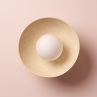 Speckled Cream Gloss Small Dawn Wall Light in Ceramic and Oak