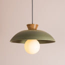 Green Dawn Pendant Light in Ceramic and Oak