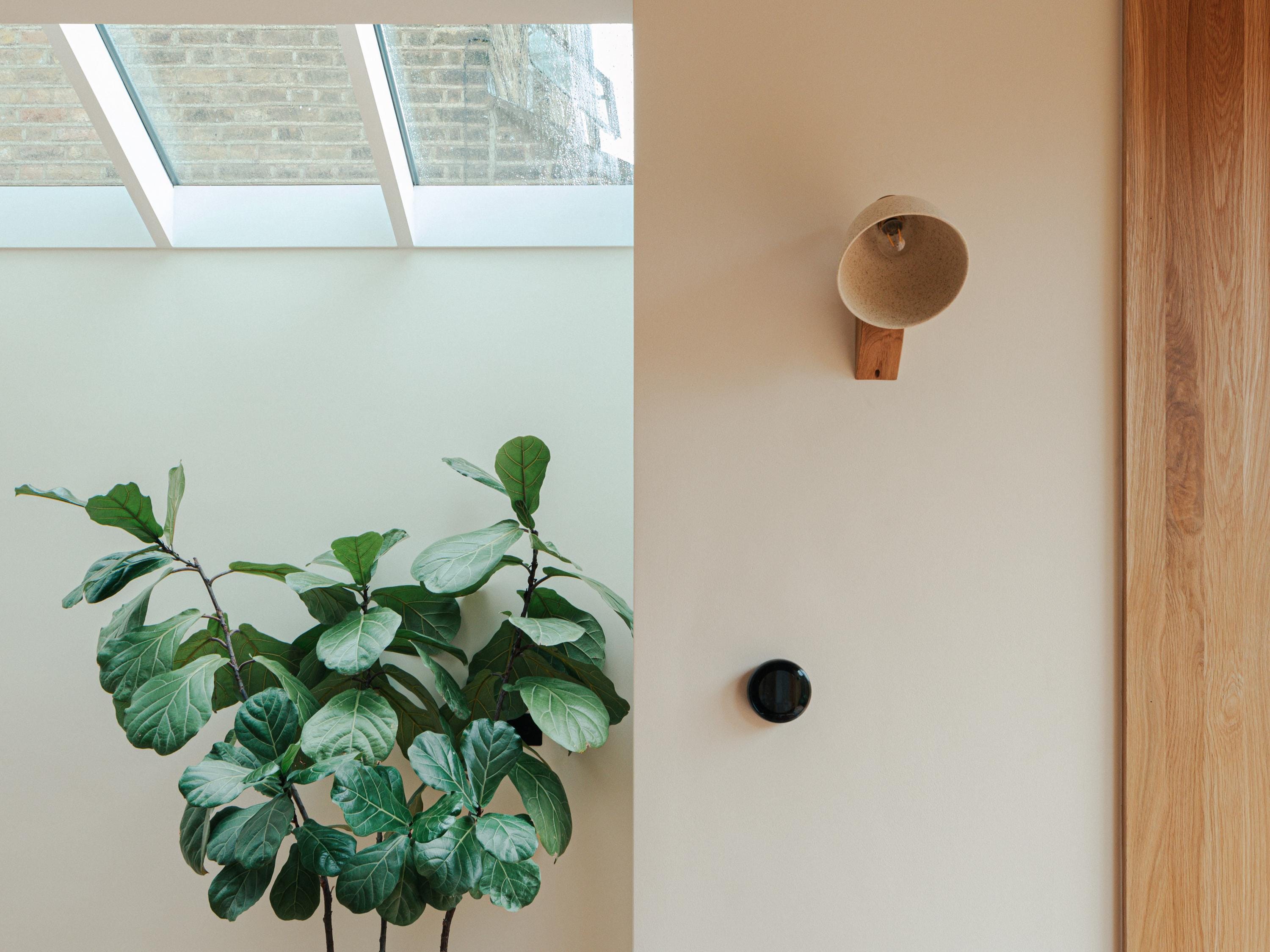 Speckled Cream Matt Element Wall Light in Ceramic and Oak by StudioHaran