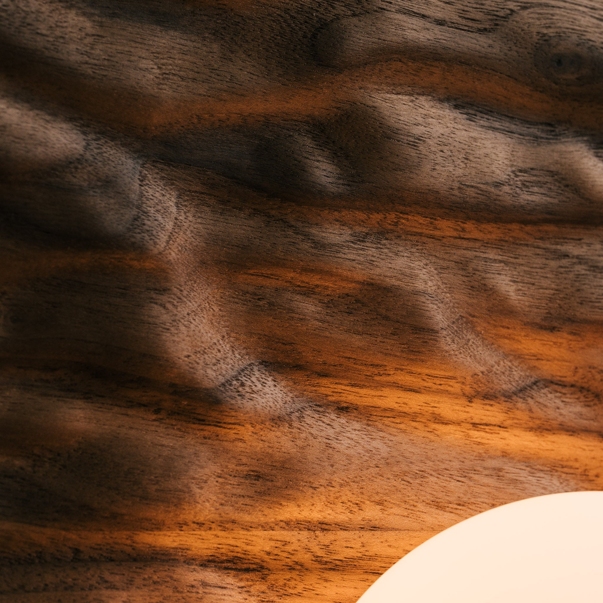 Towan Large Wall Light in Solid Oak/Walnut