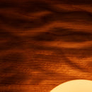 Towan Large Wall Light in Solid Oak/Walnut