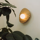 Towan Wall Light in Solid Oak/Walnut